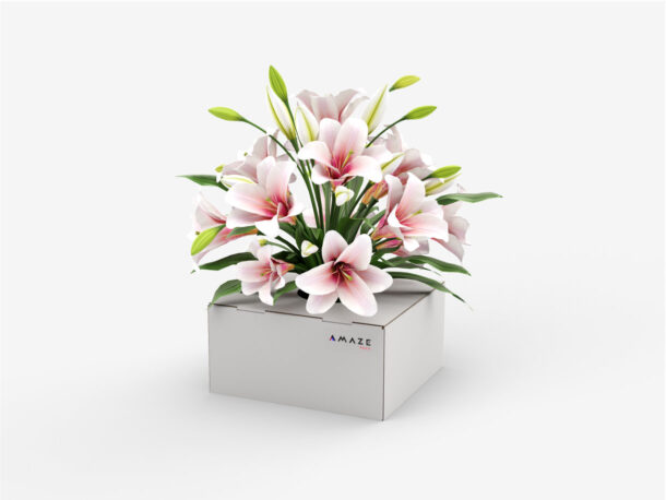 Packaging for flowers, i.e. safety during transport