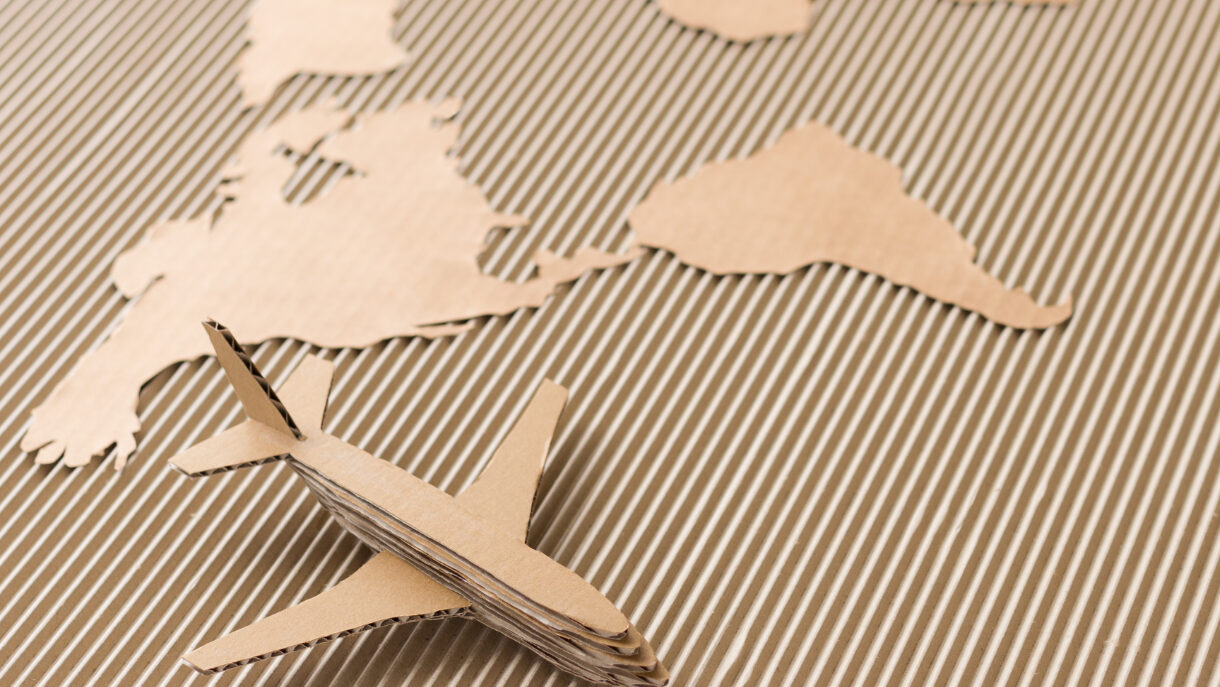 Impact of packaging on environmental pollution in air transport