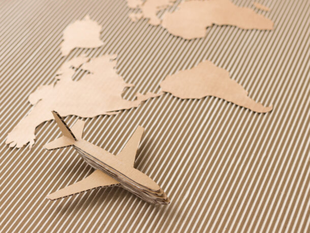 Impact of packaging on environmental pollution in air transport